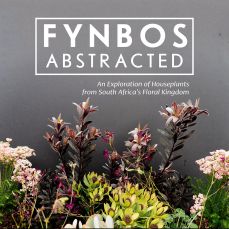Logo for Fynbos Abstracted: An Exploration of Houseplants from South Africa’s Floral Kingdom
