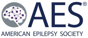 Logo for AES 2026 Annual  Meeting