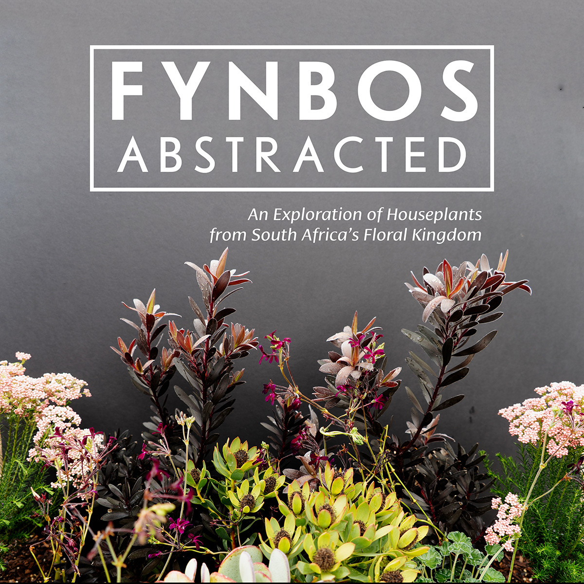 Logo for Fynbos Abstracted: An Exploration of Houseplants from South Africa’s Floral Kingdom