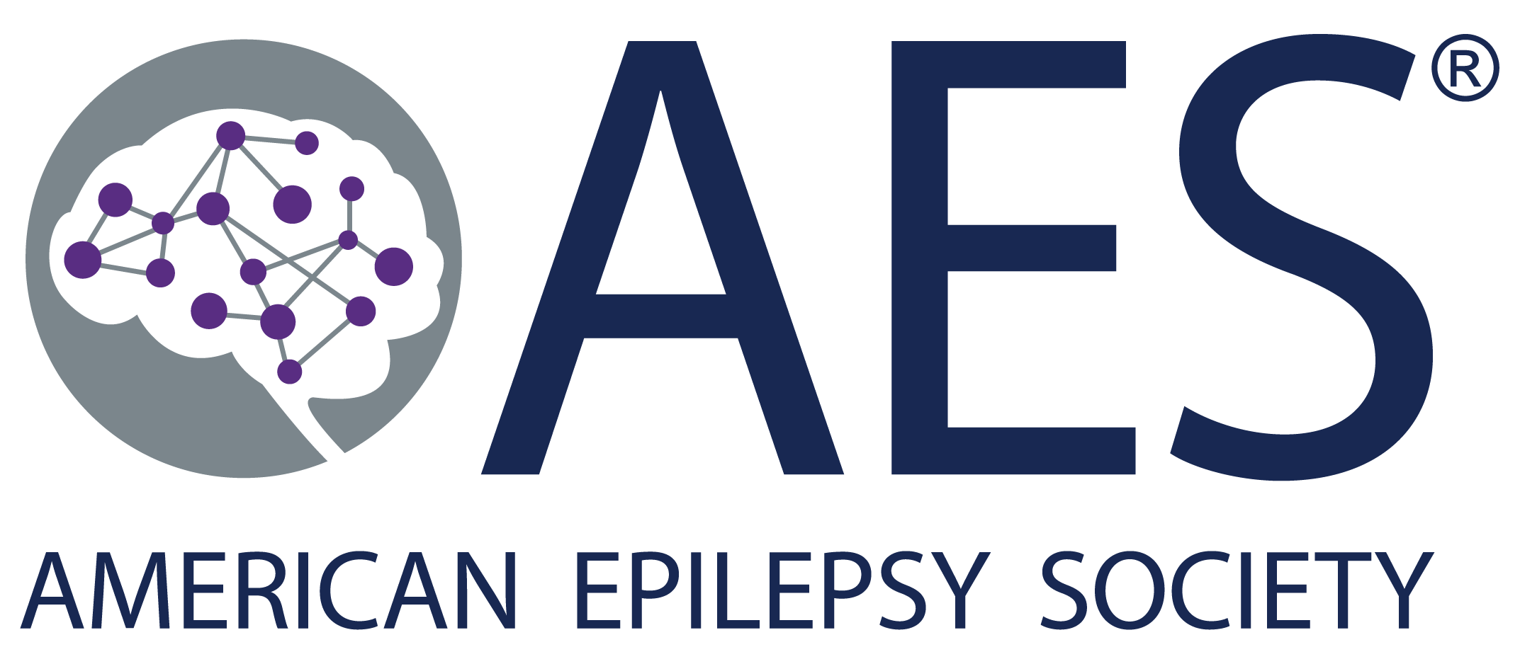 Logo for AES 2026 Annual  Meeting